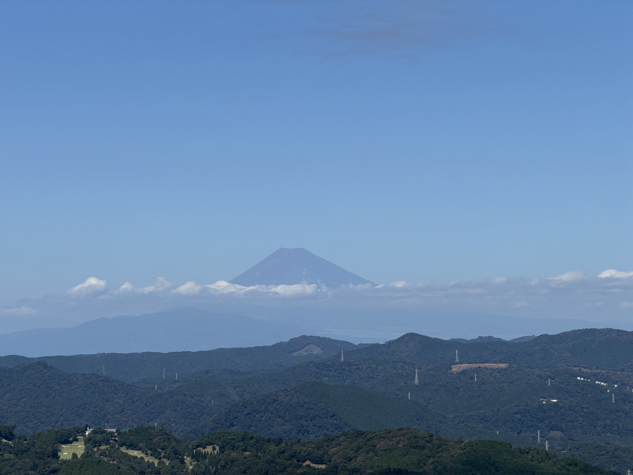 4D144617-CBE8-4A7C-85A0-25C418BD48F5_1_102_o.jpeg
