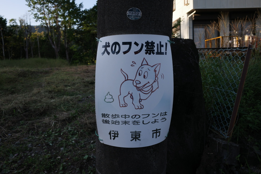 54792F8D-C34D-4C4E-8010-A52371251DA6_1_105_c.jpeg